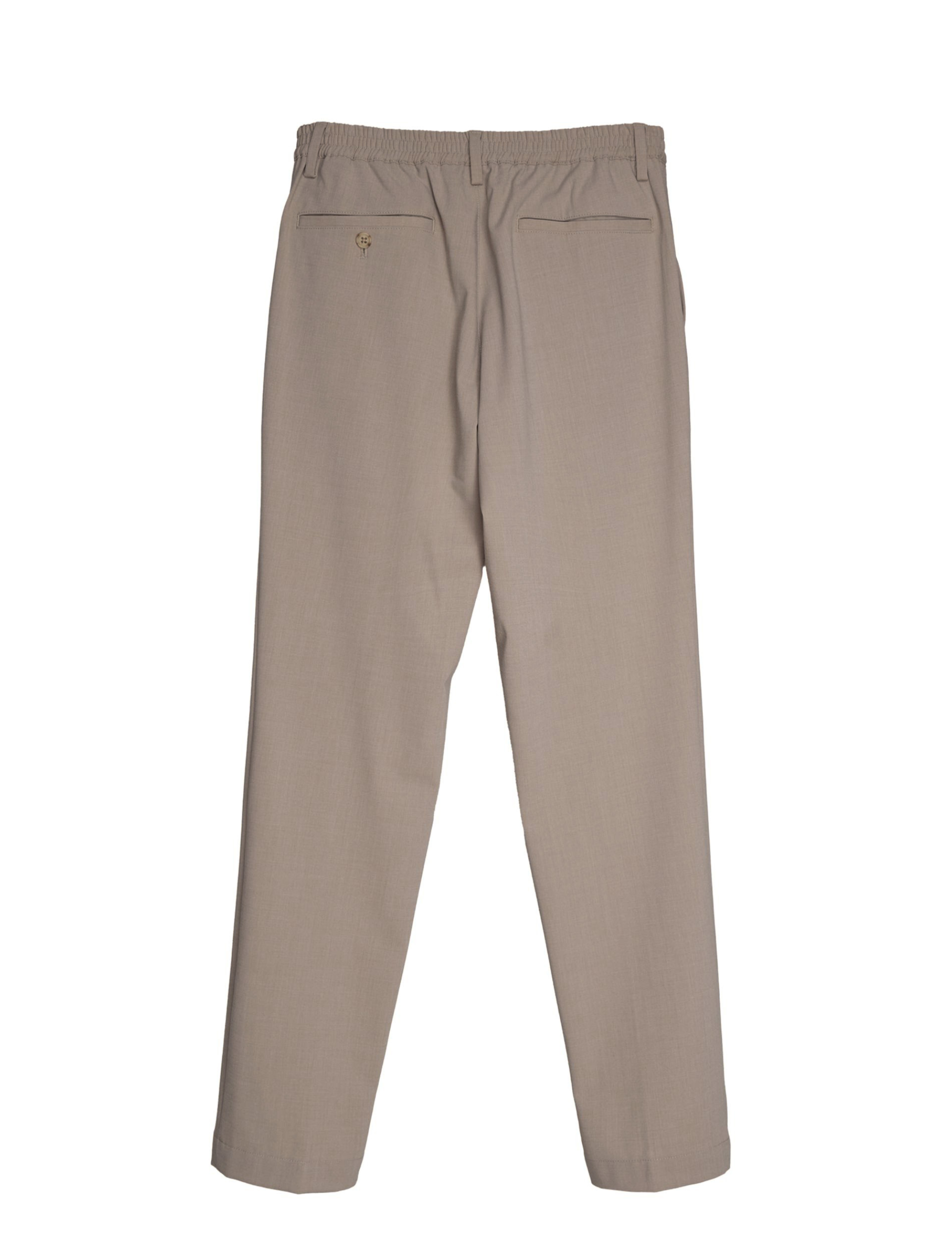 BEIGE WRINKLES FREE POLYESTER EASY PANTS (2)