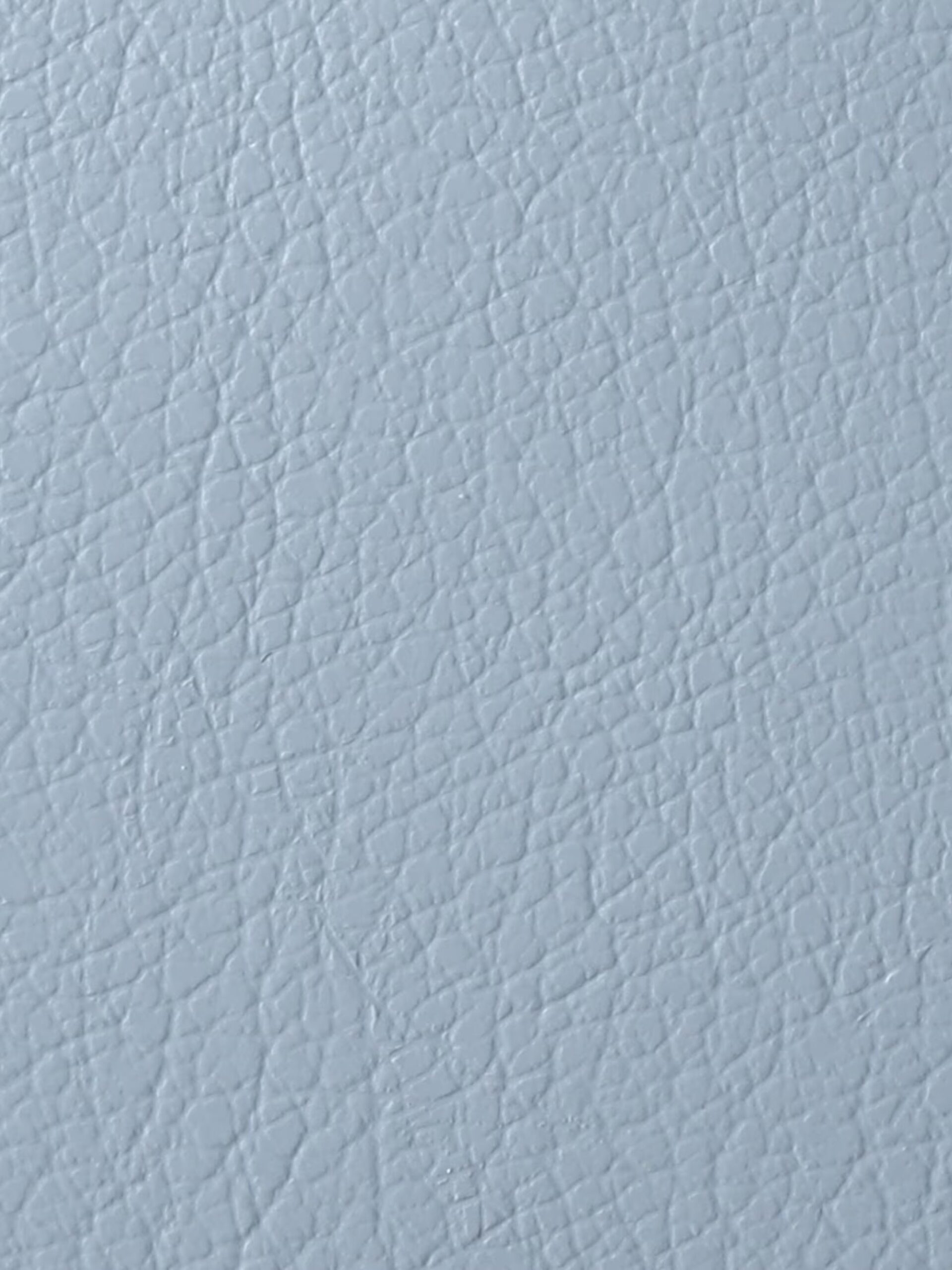 LIGHT BLUE WRP LIGHTWEIGHT TOTE BAG (12)